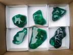 Polished and Natural Flower Banded Malachite Free Forms x 6 From Congo