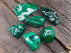 Polished and Natural Flower Banded Malachite Free Forms x 6 From Congo