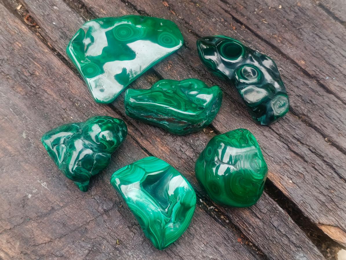Polished and Natural Flower Banded Malachite Free Forms x 6 From Congo