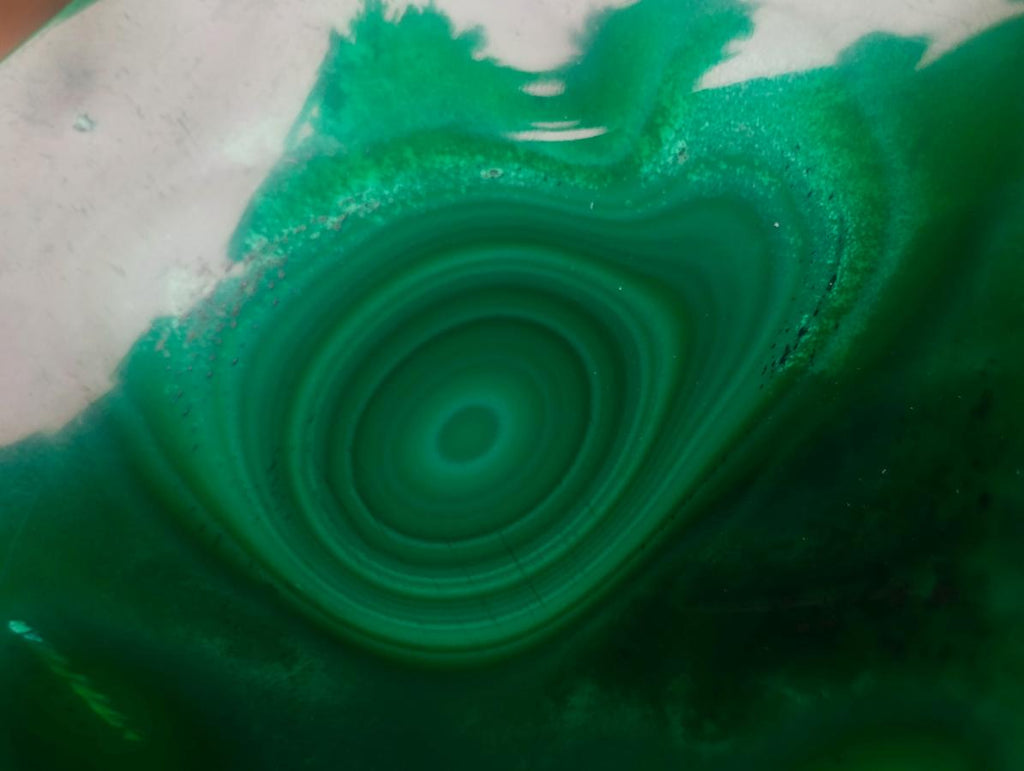 Polished and Natural Flower Banded Malachite Free Forms x 6 From Congo