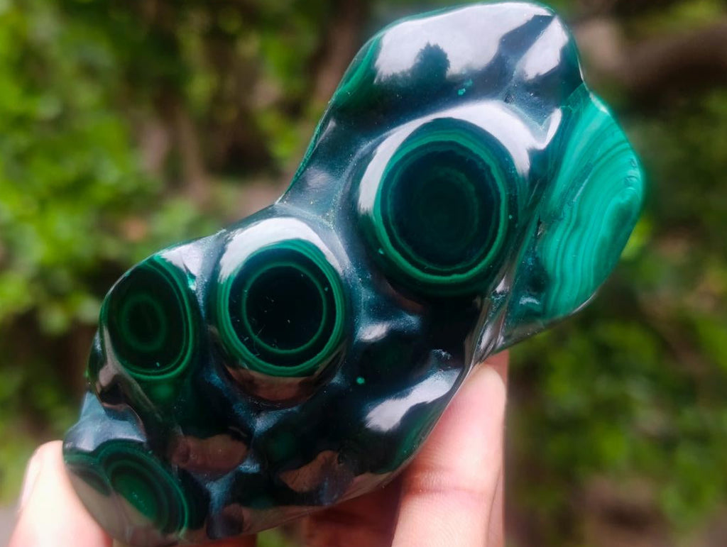 Polished and Natural Flower Banded Malachite Free Forms x 6 From Congo