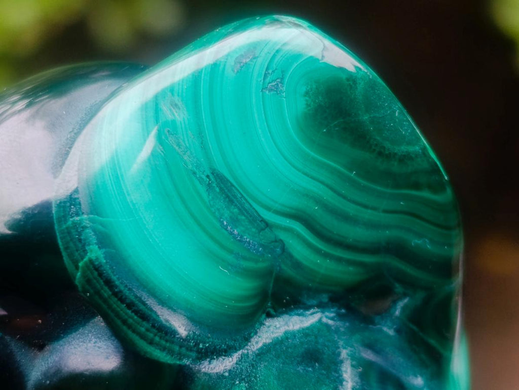 Polished and Natural Flower Banded Malachite Free Forms x 6 From Congo