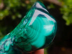 Polished and Natural Flower Banded Malachite Free Forms x 6 From Congo