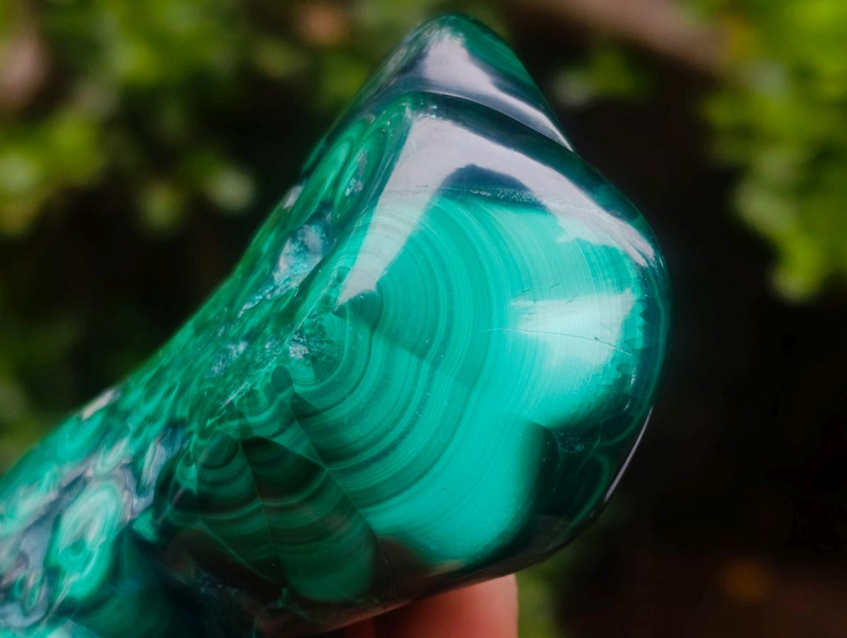Polished and Natural Flower Banded Malachite Free Forms x 6 From Congo