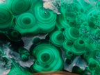 Polished and Natural Flower Banded Malachite Free Forms x 6 From Congo