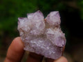 Natural Spirit Amethyst Crystals x 26 From Boekenhouthoek, South Africa