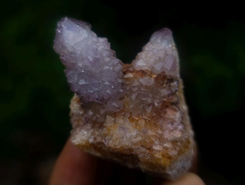 Natural Spirit Amethyst Crystals x 26 From Boekenhouthoek, South Africa