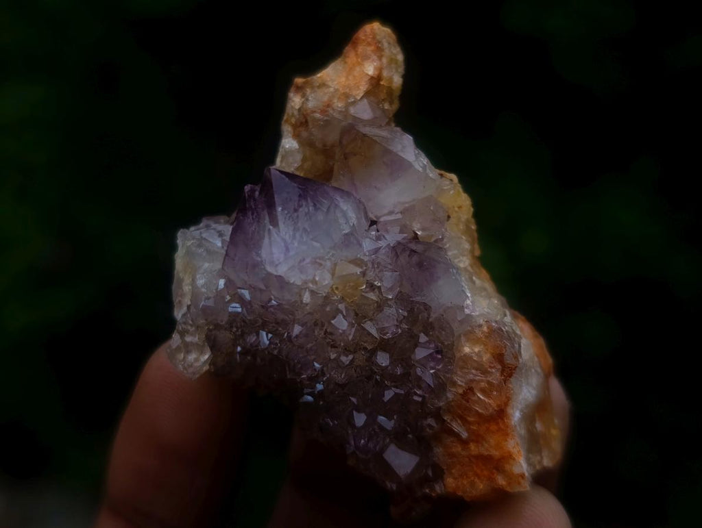 Natural Spirit Amethyst Crystals x 26 From Boekenhouthoek, South Africa