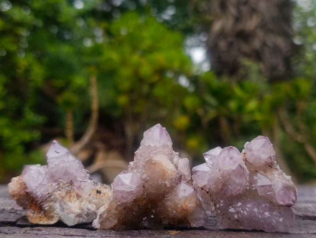Natural Spirit Amethyst Crystals x 26 From Boekenhouthoek, South Africa
