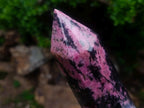 Polished Large Rhodonite Gemstone Tower x 1 From Ambindavato, Madagascar