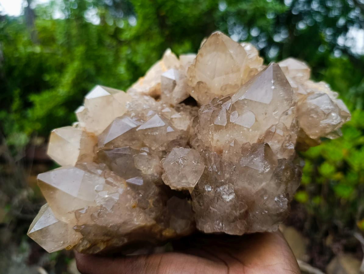 Natural Large Cascading Clear Smokey Citrine Luena Quartz Cluster x 1 From Luena, Congo