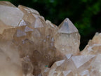 Natural Large Cascading Clear Smokey Citrine Luena Quartz Cluster x 1 From Luena, Congo