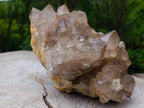 Natural Large Cascading Clear Smokey Citrine Luena Quartz Cluster x 1 From Luena, Congo