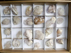 Natural Clear Spirit Quartz Crystals and Clusters x 24 From Boekenhouthoek, South Africa