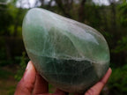 Polished Green Fluorite Standing Display Pieces x 2 From Madagascar