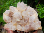 Natural Mwinilunga Quartz Clusters x 2 From Mwinilunga, Zambia