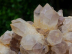 Natural Mwinilunga Quartz Clusters x 2 From Mwinilunga, Zambia
