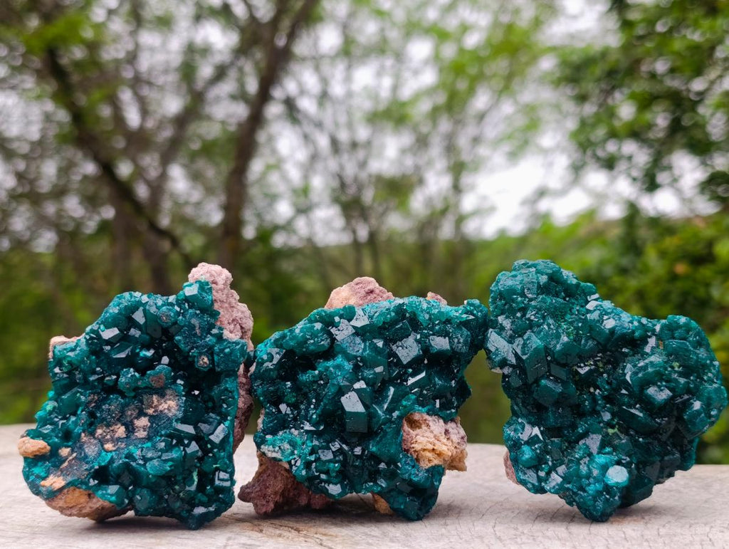 Natural Cabinet Size Dioptase Specimens on Dolomite Matrix x 3 From Tantara Mine, Congo