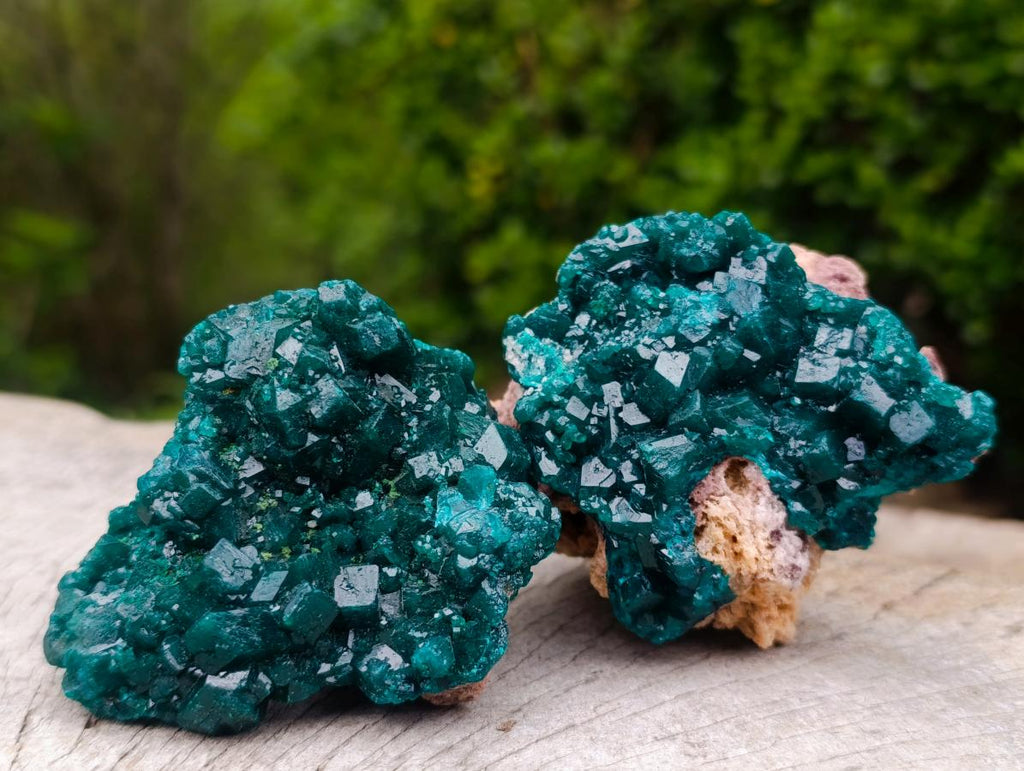 Natural Cabinet Size Dioptase Specimens on Dolomite Matrix x 3 From Tantara Mine, Congo