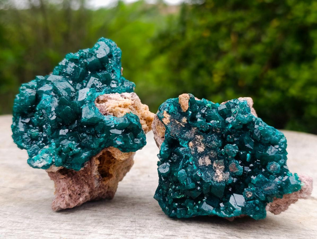 Natural Cabinet Size Dioptase Specimens on Dolomite Matrix x 3 From Tantara Mine, Congo