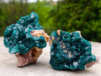 Natural Cabinet Size Dioptase Specimens on Dolomite Matrix x 3 From Tantara Mine, Congo