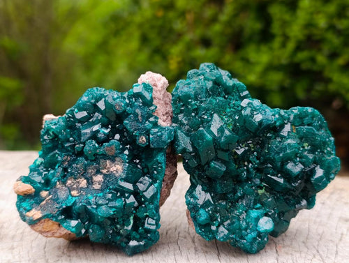 Natural Cabinet Size Dioptase Specimens on Dolomite Matrix x 3 From Tantara Mine, Congo