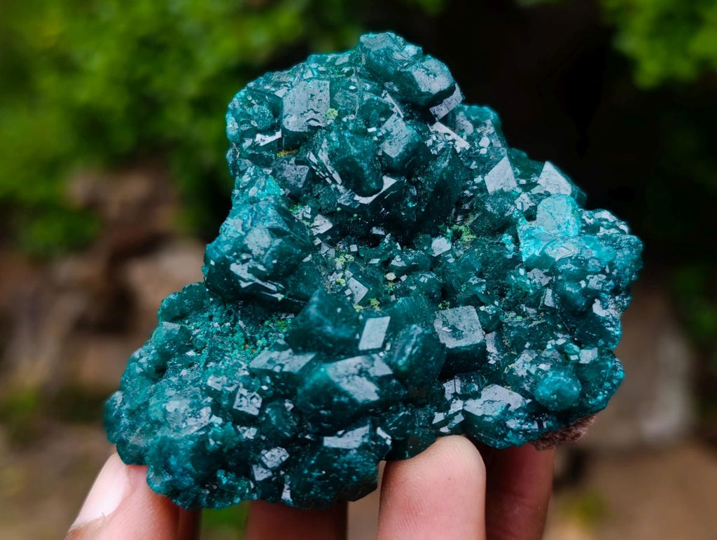 Natural Cabinet Size Dioptase Specimens on Dolomite Matrix x 3 From Tantara Mine, Congo