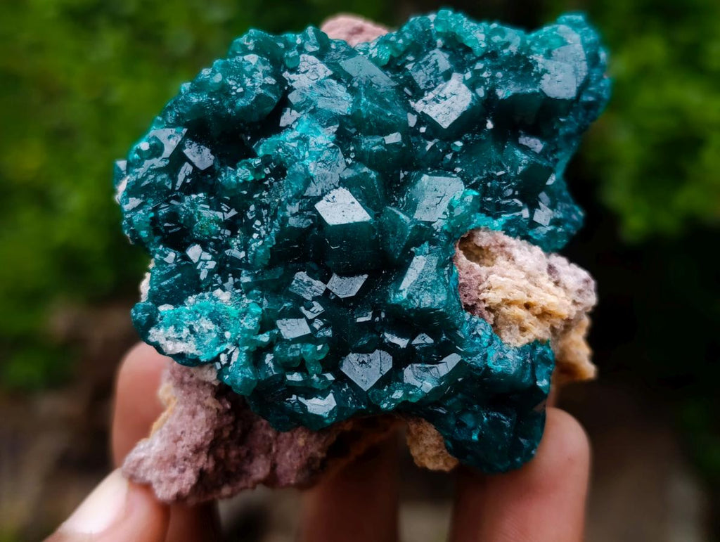 Natural Cabinet Size Dioptase Specimens on Dolomite Matrix x 3 From Tantara Mine, Congo