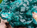 Natural Cabinet Size Dioptase Specimens on Dolomite Matrix x 3 From Tantara Mine, Congo