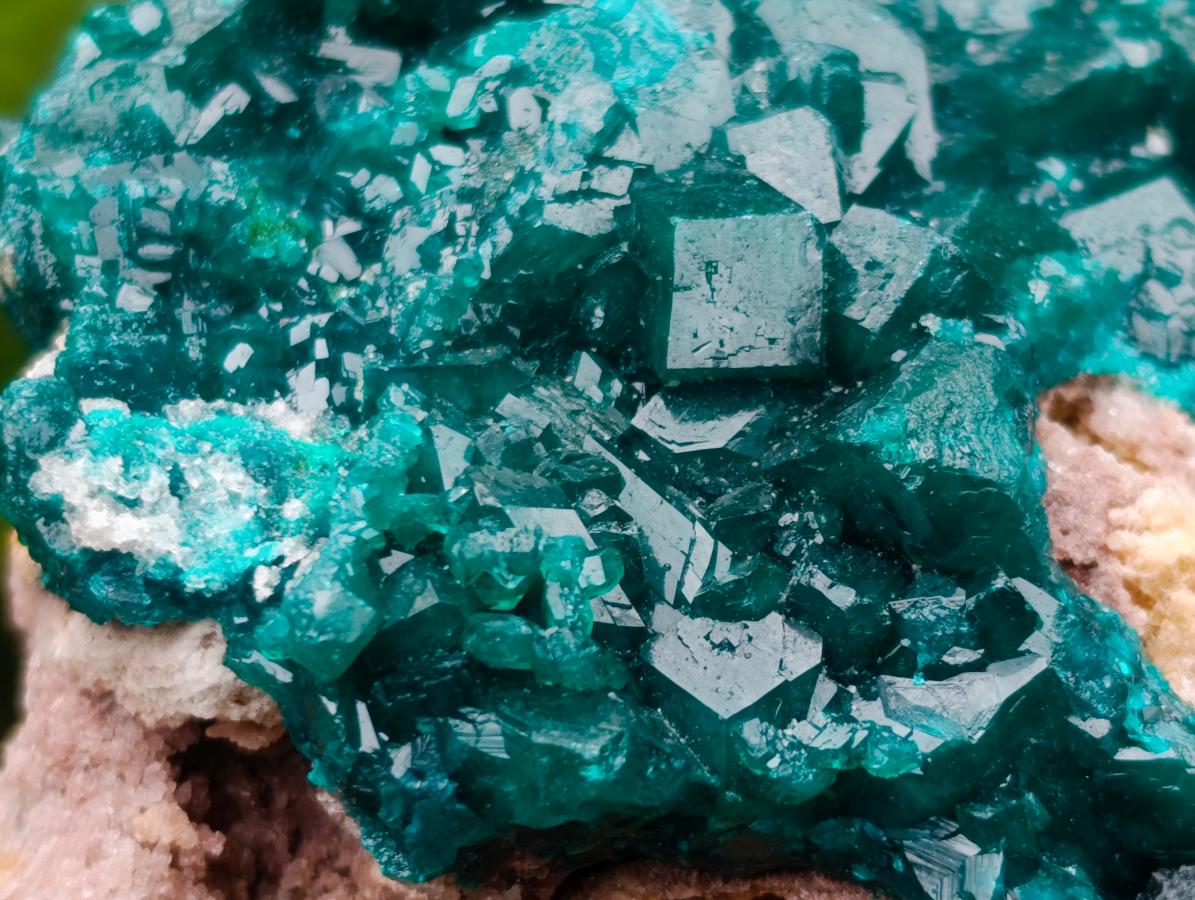 Natural Cabinet Size Dioptase Specimens on Dolomite Matrix x 3 From Tantara Mine, Congo
