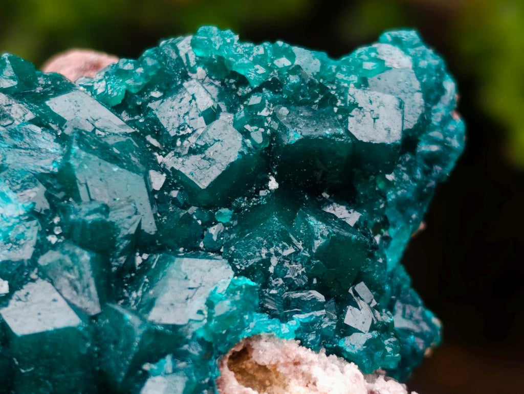 Natural Cabinet Size Dioptase Specimens on Dolomite Matrix x 3 From Tantara Mine, Congo