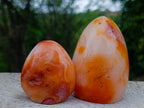 Polished Carnelian Agate Gemstone Standing Display Pieces x 4 From Madagascar