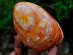 Polished Carnelian Agate Gemstone Standing Display Pieces x 4 From Madagascar