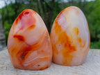 Polished Carnelian Agate Gemstone Standing Display Pieces x 4 From Madagascar