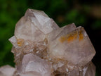 Natural Smokey Spirit Quartz Cluster x 3 From Boekenhouthoek, South Africa