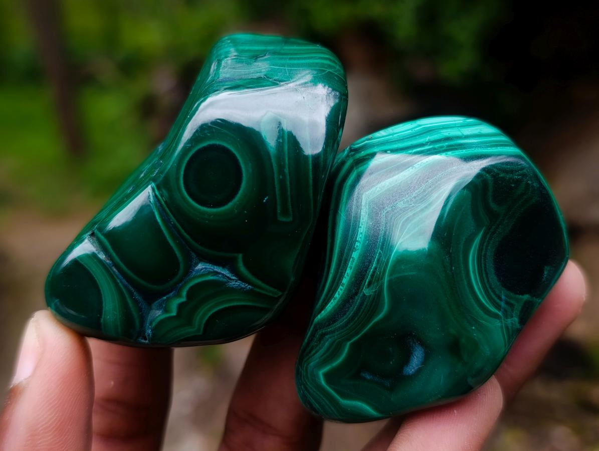 Polished and Natural Flower Banded Malachite Free Forms x 12 From Congo