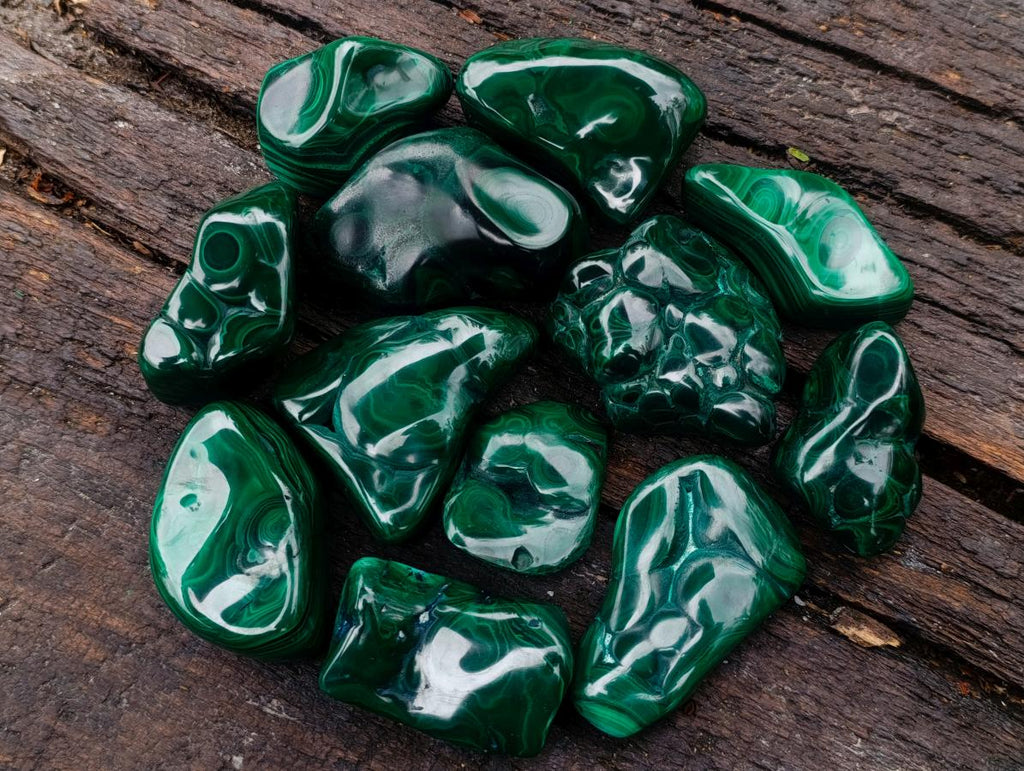 Polished and Natural Flower Banded Malachite Free Forms x 12 From Congo