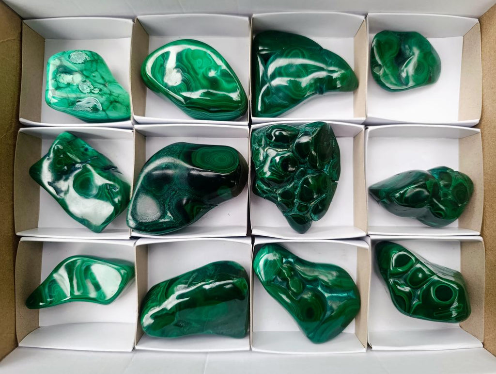 Polished and Natural Flower Banded Malachite Free Forms x 12 From Congo