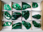 Polished and Natural Flower Banded Malachite Free Forms x 12 From Congo