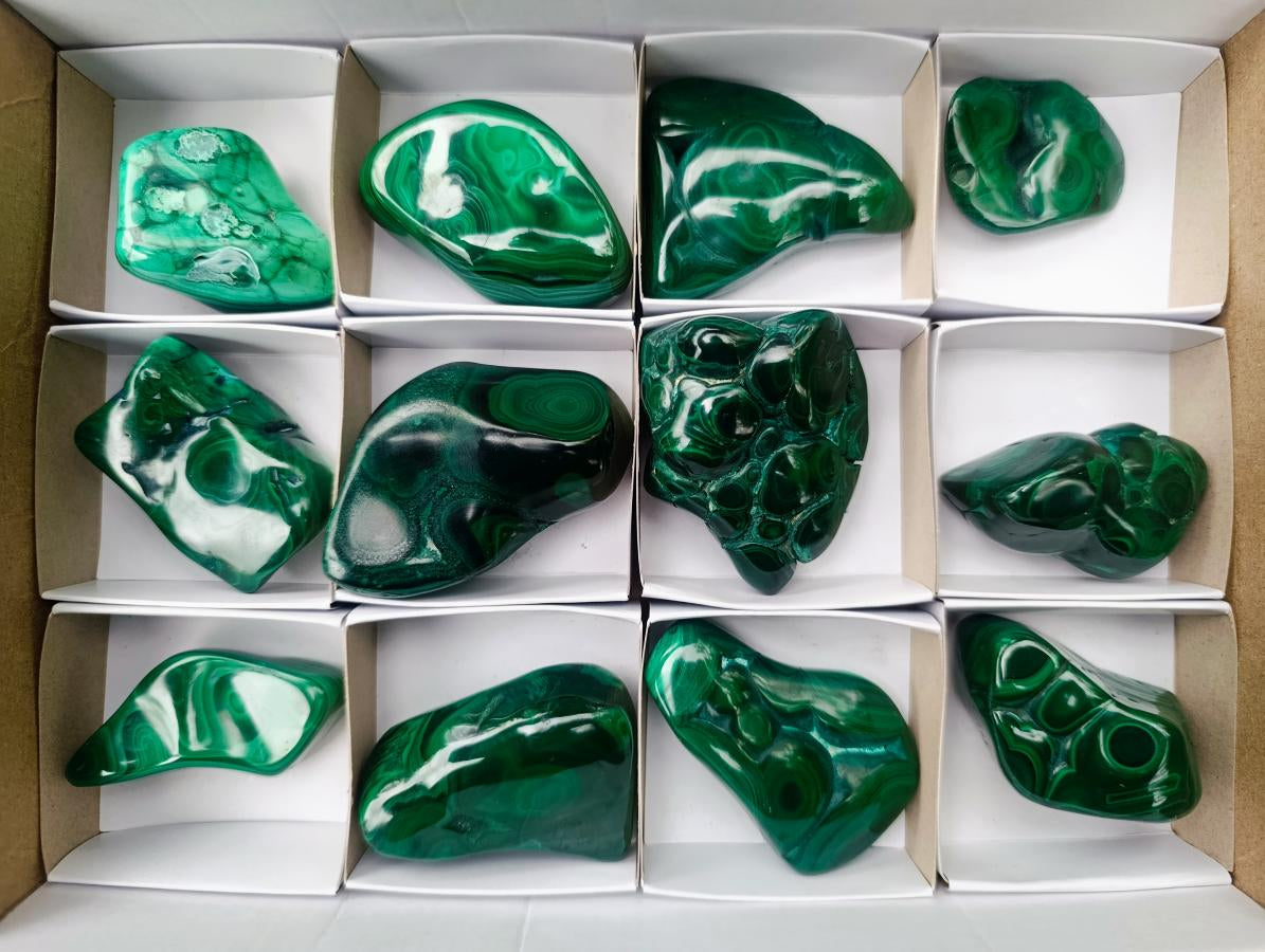 Polished and Natural Flower Banded Malachite Free Forms x 12 From Congo