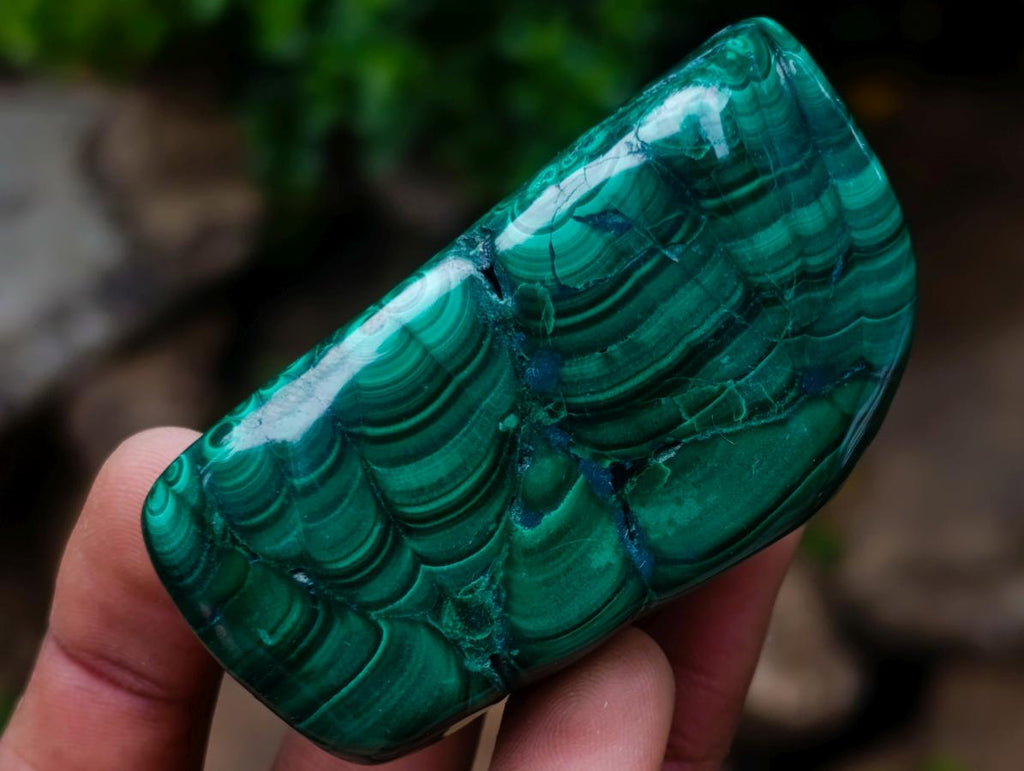 Polished and Natural Flower Banded Malachite Free Forms x 12 From Congo