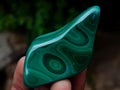 Polished and Natural Flower Banded Malachite Free Forms x 12 From Congo