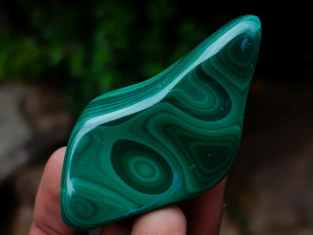 Polished and Natural Flower Banded Malachite Free Forms x 12 From Congo