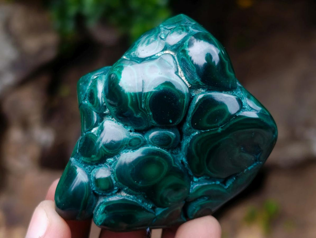 Polished and Natural Flower Banded Malachite Free Forms x 12 From Congo