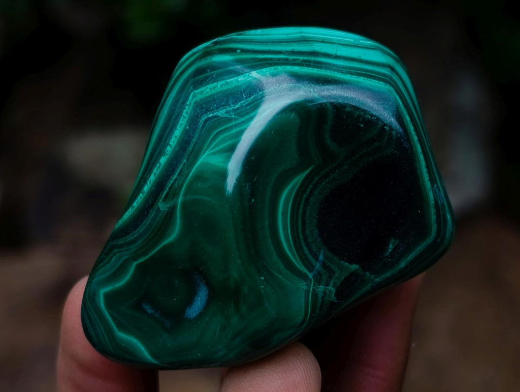 Polished and Natural Flower Banded Malachite Free Forms x 12 From Congo