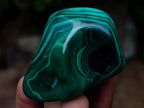 Polished and Natural Flower Banded Malachite Free Forms x 12 From Congo