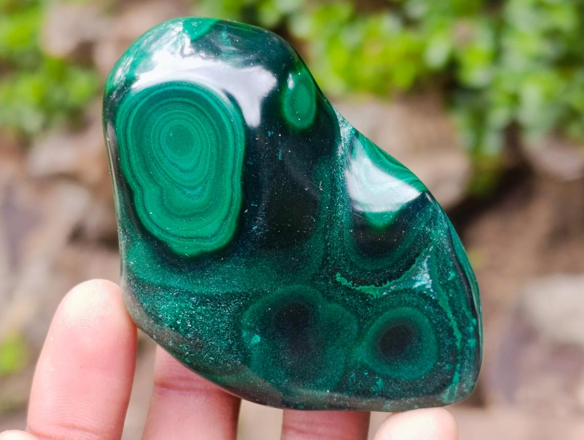 Polished and Natural Flower Banded Malachite Free Forms x 12 From Congo