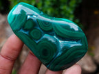 Polished and Natural Flower Banded Malachite Free Forms x 12 From Congo