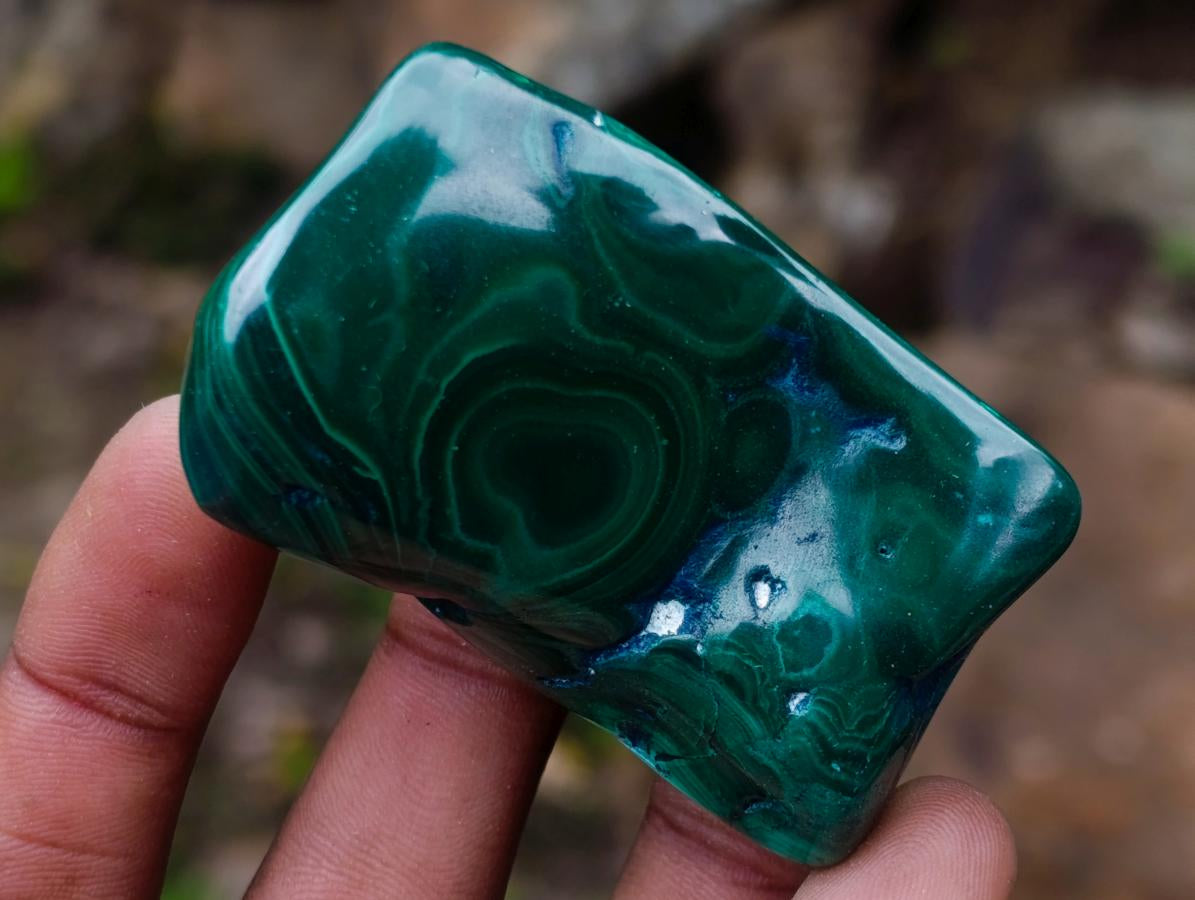Polished and Natural Flower Banded Malachite Free Forms x 12 From Congo
