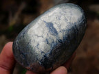 Polished Basalt Pharaoh Stone Free Forms x 7 From Iron Duke Mine, Zimbabwe